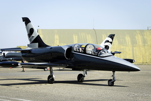 Apache Aviation-F-095